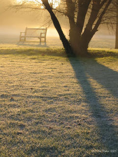 20060402113052-sunrise-cambridge-foto-de-ianfrosty.jpg