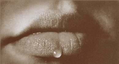 20060402123202-labios-1-.jpg